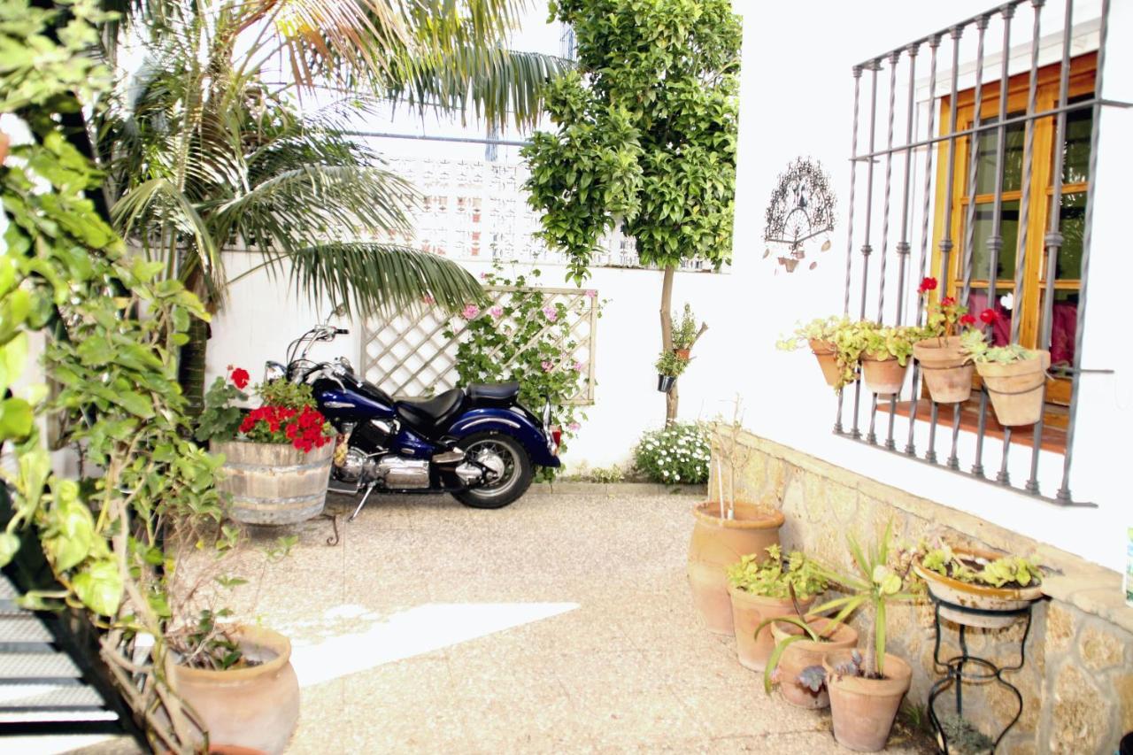 Apartment Chipiona, Costa De La Luz, Andalusia Garage, Wifi, Air Condition At 300m *